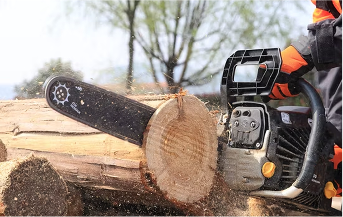 House & Office Container